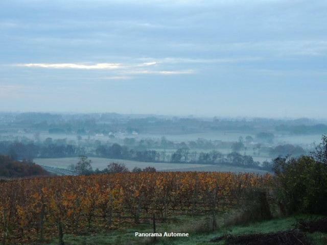 Gite Layon 6 Places Moulin De La Placette Faye-d'Anjou Luaran gambar